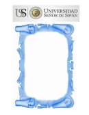 TEMA: FOTOSINTESIS EN LA CLOROFILA