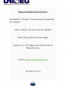 Actividad “Sistemas de gestion de calidad”