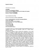 Actividad económica 463310 - Comercio Al Por Menor De Calzado