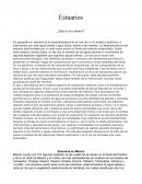 ¿Qué es un estuario?