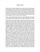 Sintesis de hombre de familia