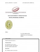 LA CONTAMINACIÓN AMBIENTAL EN NUESTRAS VIDAS