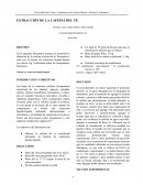 Extraccion de cafeina