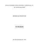Informe de ecologia