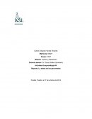 Reporte: La siesta de los pavorreales