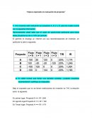 Topicos especiales en Evaluación de proyectos