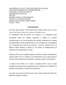 PROGRAMA CONTADURÍA PÚBLICA - METODOLOGÍA DE LA INVESTIGACIÓN