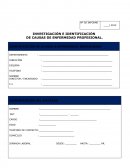 IDENTIFICACIÓN DE LA AREA O DEPENDENCIA INVOLUCRADA