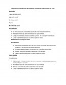 Observacion e identificacion de patogenos causantes de enfermedades en arroz