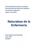 Naturaleza de la enfermería