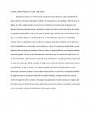 Práctica observación de un corazón