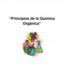 Cuales son los Principios de quimica organica