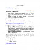 Apuntes Neuropsicología