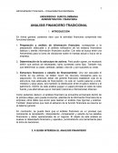 Teoria analisis financiero