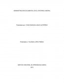 Administración documental en el entorno laboral