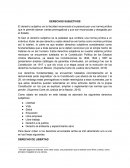 Los derechos subjetivos en México