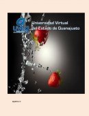 ENSAYO ANALISIS DE PROCESOS