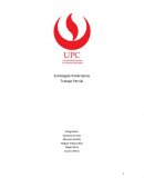 Estrategias publicitarias