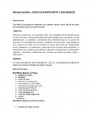 Metodo experimental punto de fusion