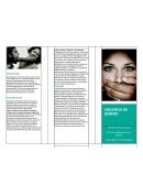 Brochure Violencia de Genero Análisis Crítico