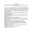 El circo de las mariposas reseña