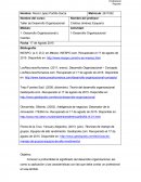 Ejemplo de Desarrollo Organizacional - Tarea1