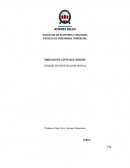 CUAL ES EL MERCADO DE CAPITALES CHILENO