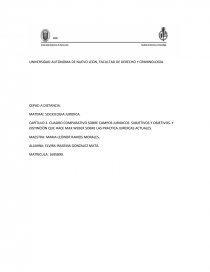 CUADRO COMPARATIVO SOBRE CAMPOS JURIDICOS SUBJETIVOS Y OBJETIVOS. Y DISTINCIÓN QUE HACE MAX WEBER SOBRE LAS PRACTICA JURÍDICAS ACTUALES. Página 1