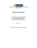 Examen de microbiología