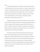 TESIS DE MAGISTER APLICADA AL SECTOR COOPERATIVO FINANCIERO