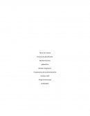 Fundamentos de la administración Proceso de planificación