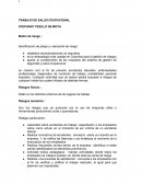 TRABAJO DE SALUD OCUPACIONAL STEPHANY TESILLO DE MOYA