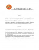 Objetivo políticas y valores de una empresa