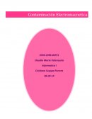 La contaminación electromagnética es un peligro invisible puesto que todos estamos expuestos a ella y muchos ignoramos esto