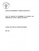 PLAN DE CUIDADOS DE ENFERMERÍA EN PACIENTE CON EMBARAZO DE 15.6 SDG + AMENAZA DE ABORTO