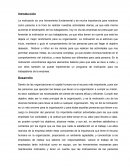 La motivación es una herramienta fundamental y de mucha importancia
