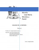 CALIDAD DE LA ENERGÍA - Trabajo 1