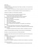 Reporte de lectura Frances