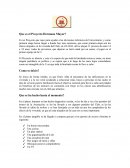 Que es el Proyecto Hermano Mayor?