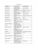 Puntos de auriculoterapia por padecimiento