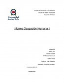 Informe de Ocupación Humana 2 de Terapia Ocupacional. Identificacion de elementos de la cultura