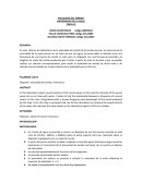 Velocidad del sonido