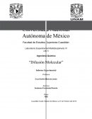 Desarrollo Experimental Difusión en Gases