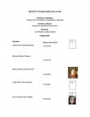 Practica #3: Elementos Compuestos y Mezclas