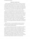 Ensayo sociedad del riesgo