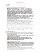 Contabilidad conceptos basico