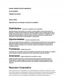 Matriz DOFA Aplicada solo a la división renal de la compañía