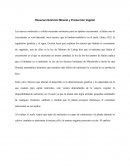 Resumen Nutrición Mineral y Producción Vegetal