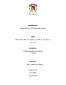 DETERMINACIÓN DEL LÍMITE LÍQUIDO DE LOS SUELOS