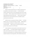 Rubrica Ciencias
